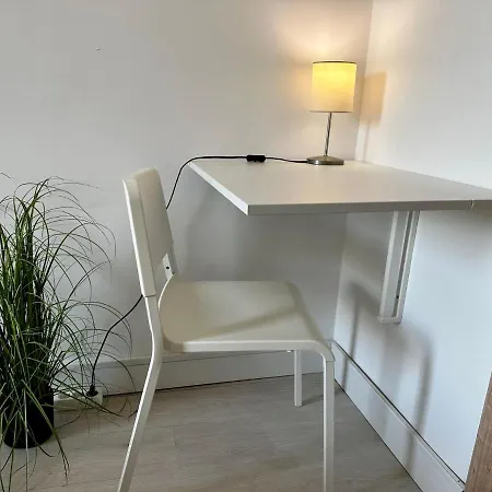 Old Ultra Apartment-4br-parliament Bucharest